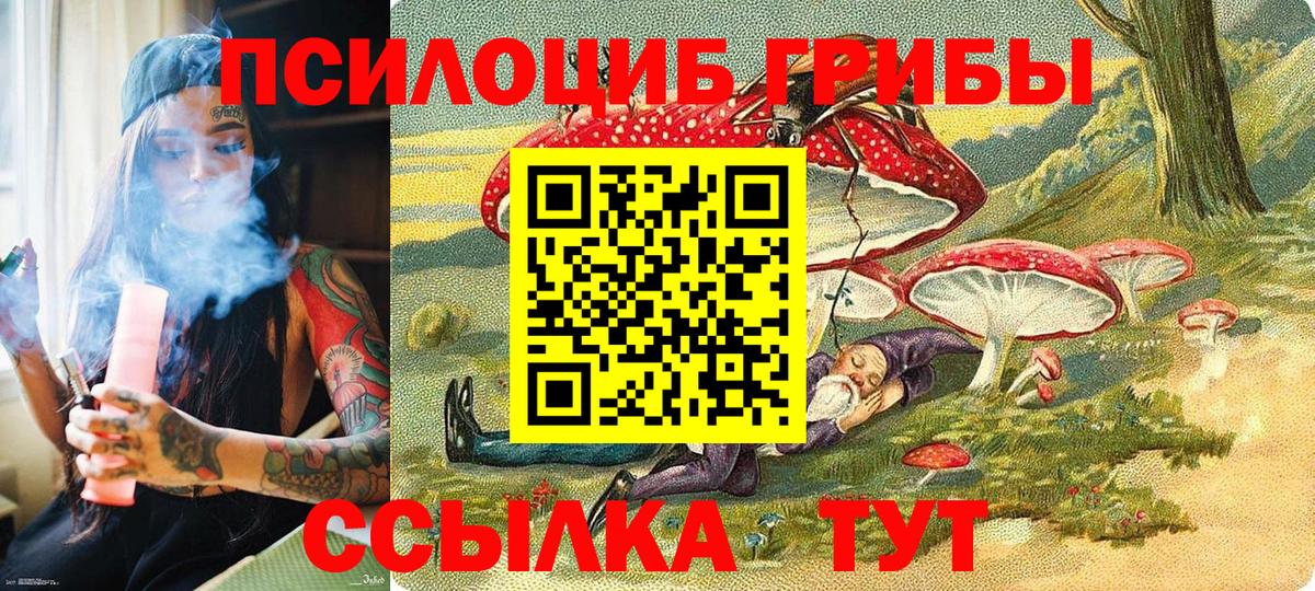 Галлюциногенные грибы прущие грибы Кызыл