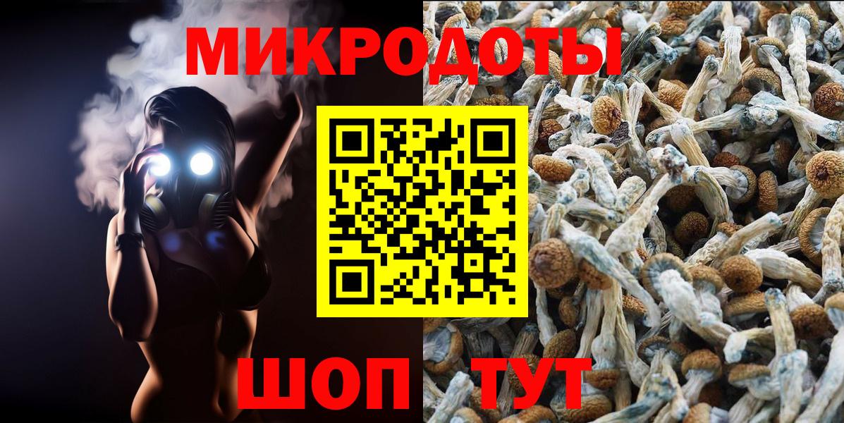 Псилоцибиновые грибы Magic Shrooms  Псилоцибиновые грибы Psilocybe  Вход с VPN  Кызыл 